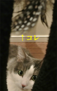 mumu7.jpg