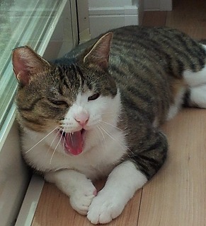 2013-07-02 13.32.10-ass.jpg