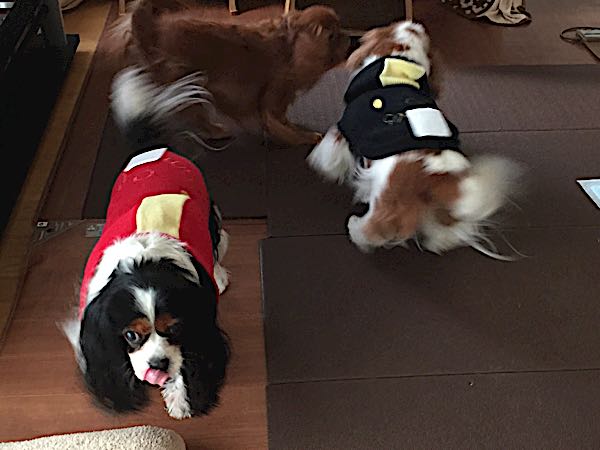 rblog-20161125165817-01.jpg