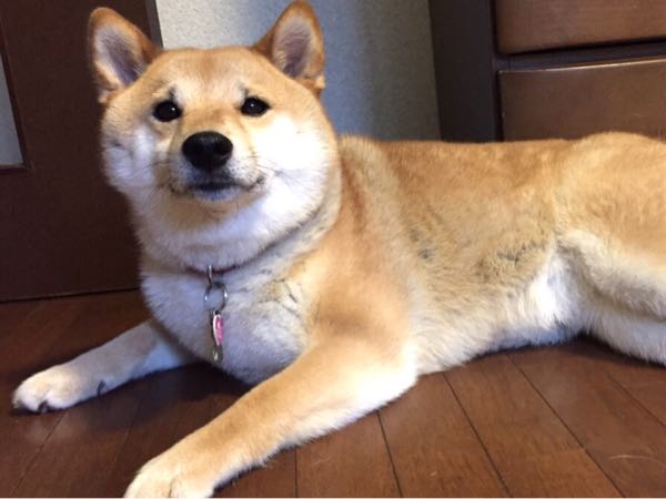 rblog-20160531212725-02.jpg