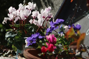 IMG_9171-23.jpg