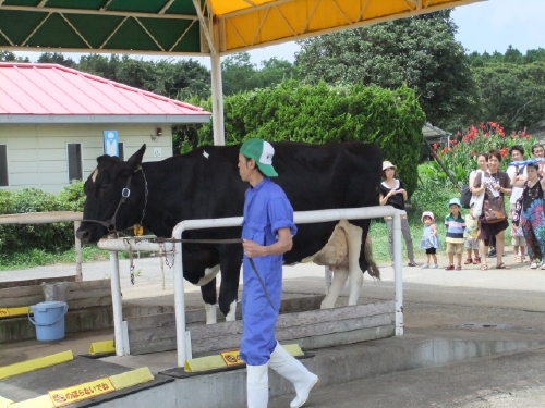 変換 ～ 2012-08-13_11-29-12.jpg