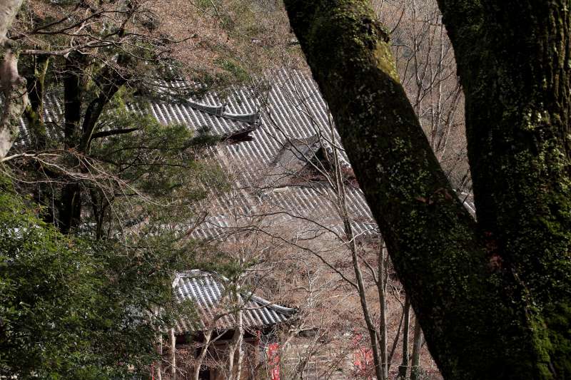 ss-長谷寺境内_004.jpg
