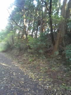 まっつぐな道２