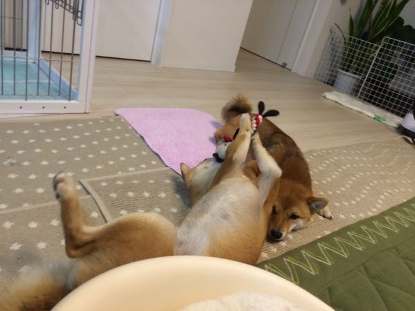 rblog-20151216002501-04.jpg