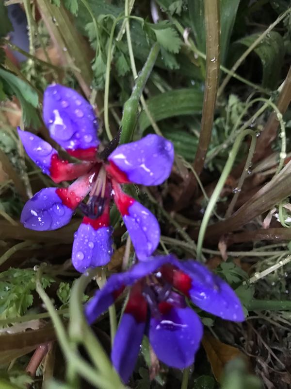 rblog-20190423182804-01.jpg