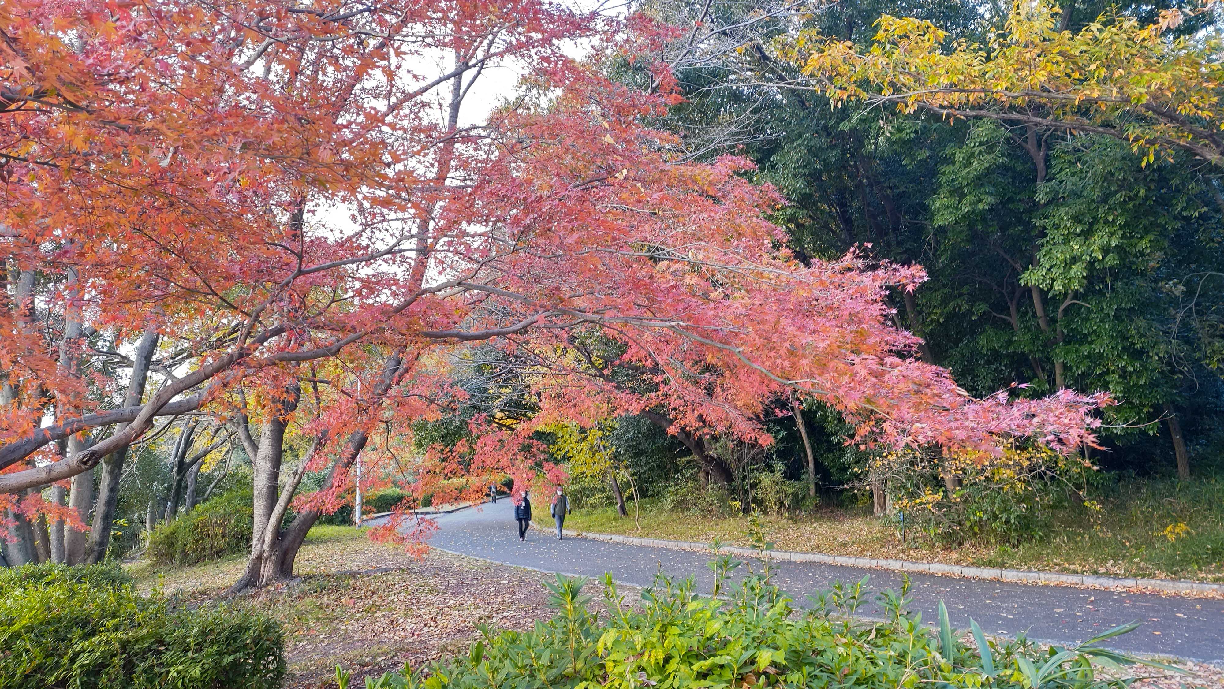 今の自分に力を‼️