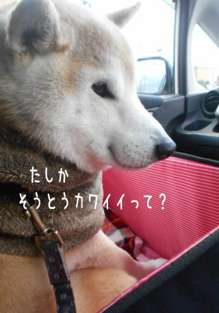 0109夕3.jpg
