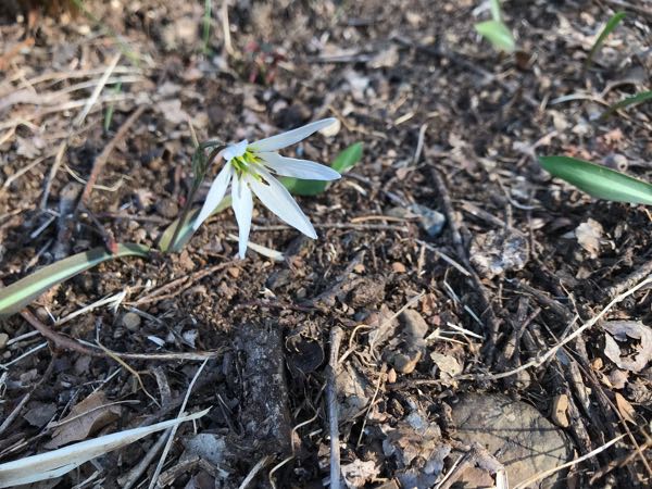 rblog-20190320171145-06.jpg