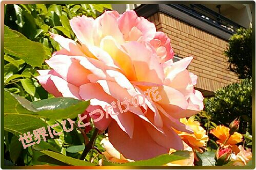rblog-20160501150417-00.jpg