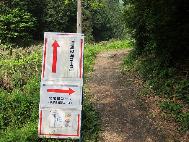 IMG_7277.jpg