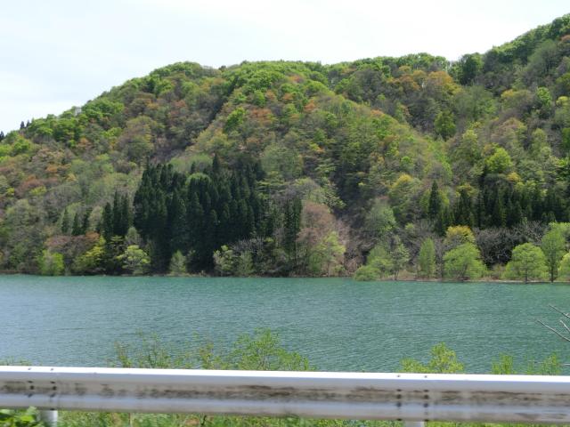 CIMG0415.jpg