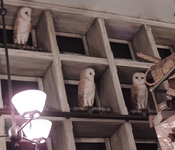 ふくろう便ふくろう小屋