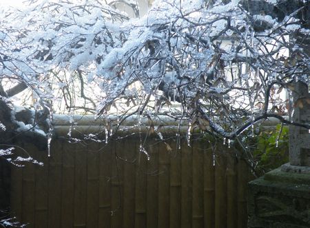 DSCF9493-p.jpg