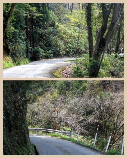 平栗-2 平栗への道 13.4.13