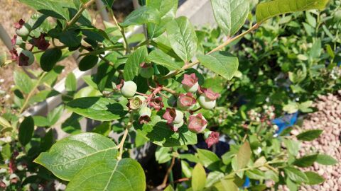 rblog-20140508141324-03.jpg