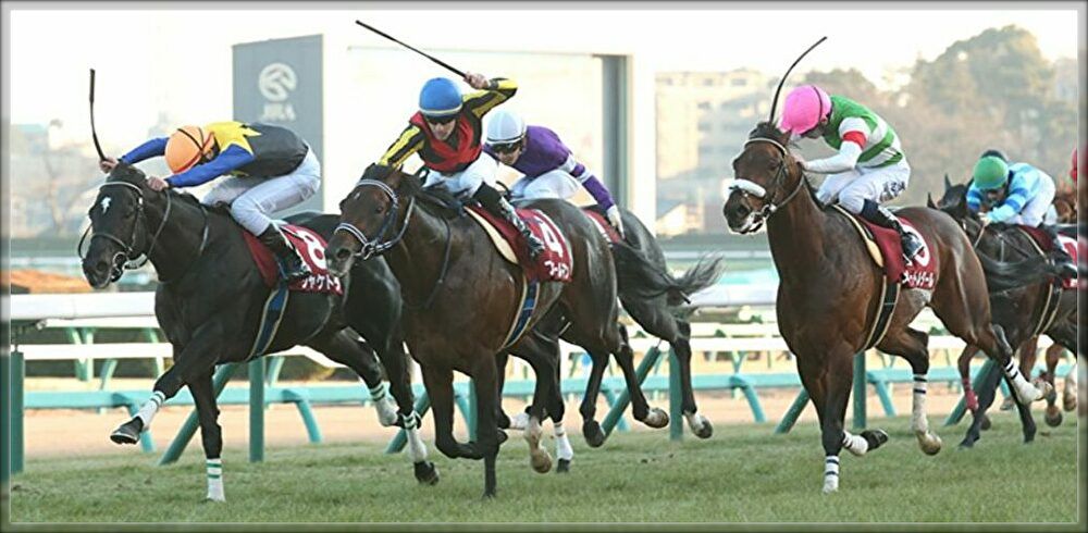 2ページ目の 競馬 G愛あきおやじの部屋 楽天ブログ