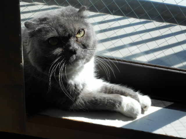 20150402 241.JPG