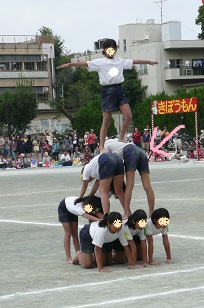 1.jpg