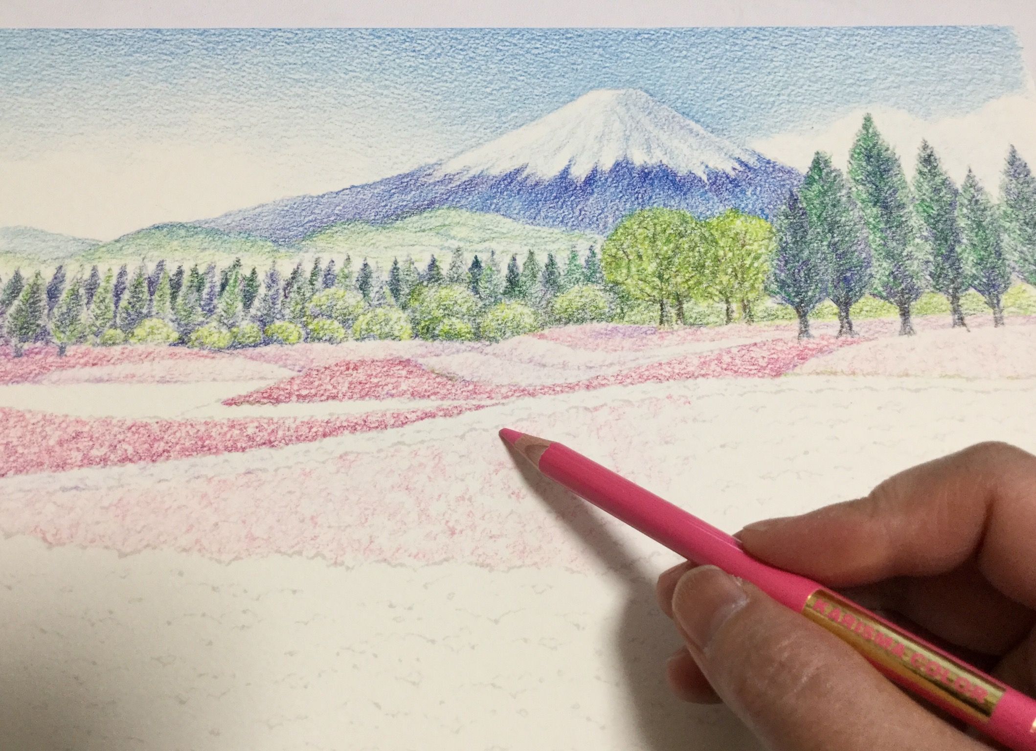 大人の塗り絵 富士芝桜まつり 色鉛筆の塗り方 色鉛筆と夢とアート