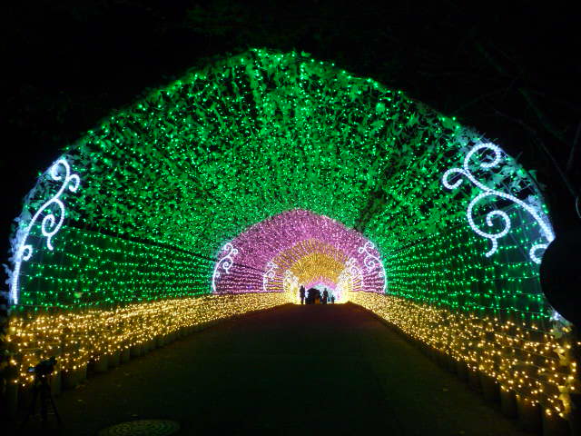 157 光のトンネル
