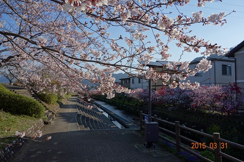 DSC02072.JPG