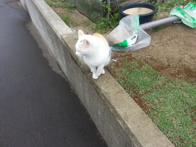 20140616_081548.jpg