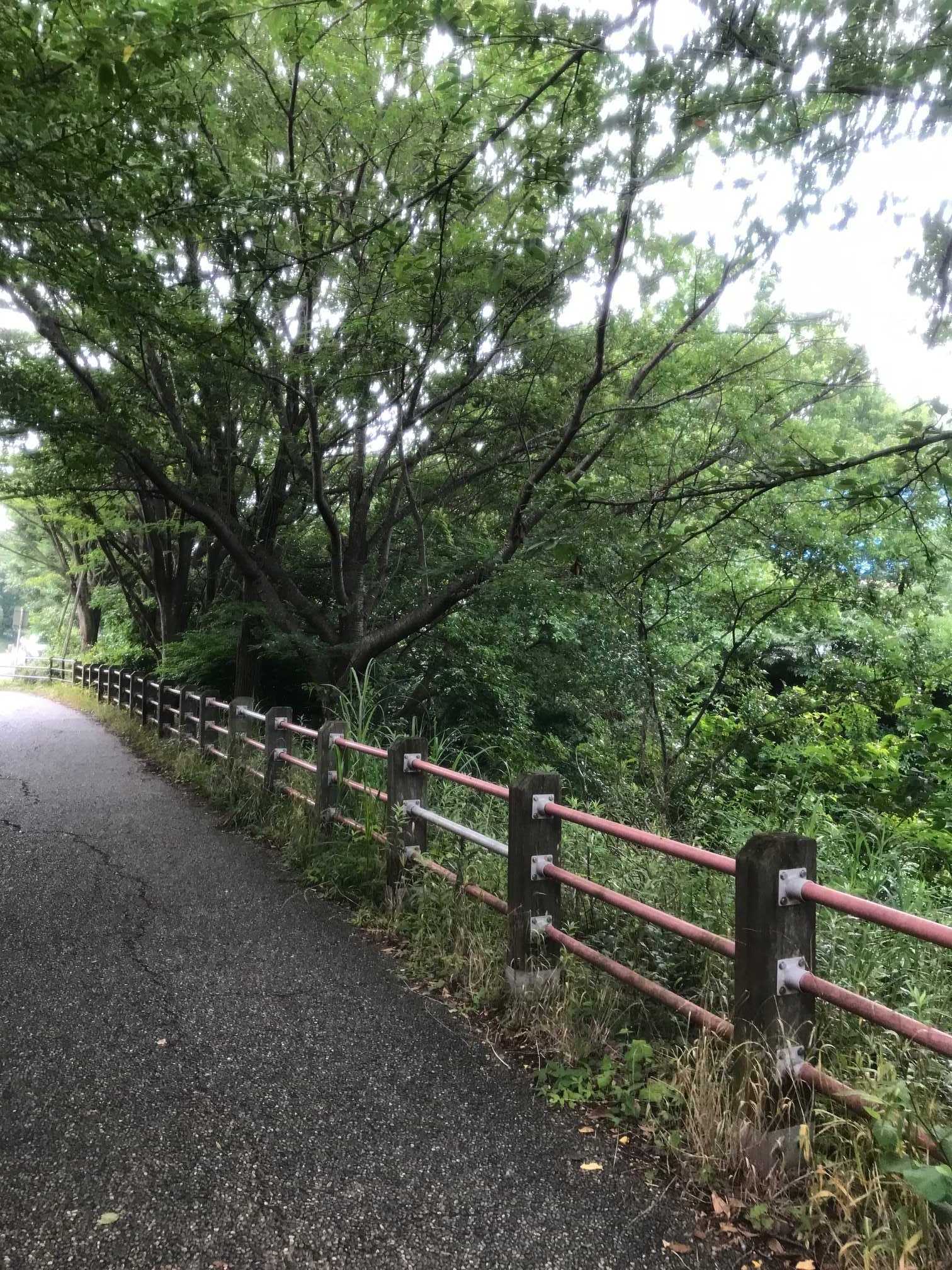 今日のランニング | まったりと、がんばルンバ♪ - 楽天ブログ