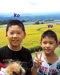 2012081412340000.jpg
