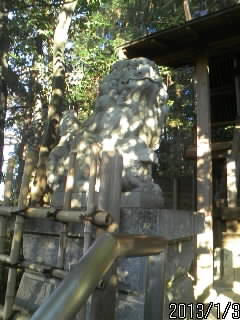 左側の狛犬
