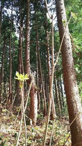 rblog-20180430083908-01.jpg