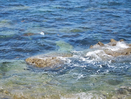 DSCN2133.JPG