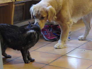 作業用画像その２ 296.jpg