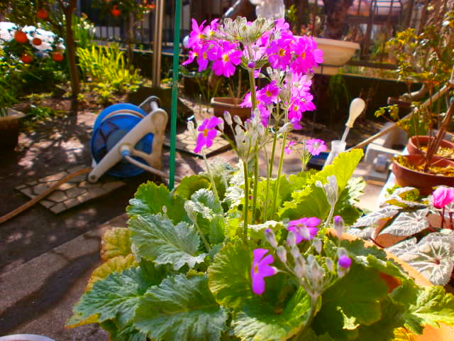 P1270170.JPG