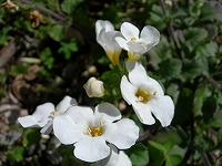 12032910.DSCN0051.jpg
