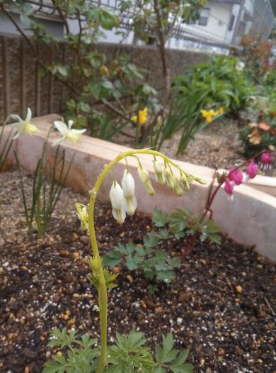 rblog-20140420215455-04.jpg