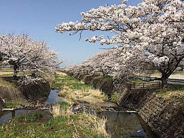 rblog-20180402193748-02.jpg