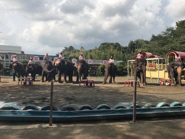 rblog-20180813234550-01.jpg