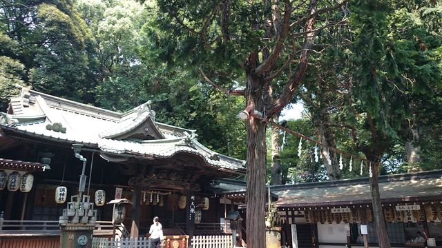 2015-07-12 14.12.07.jpg