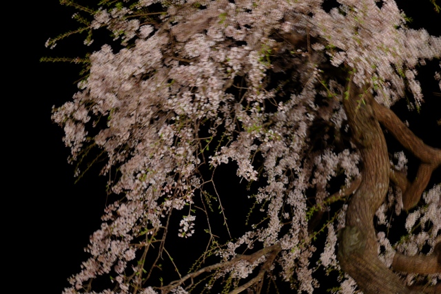 120416a