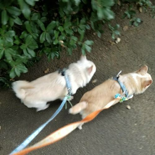 rblog-20180725083330-01.jpg