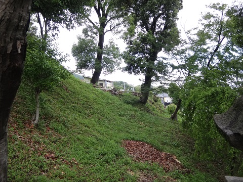 DSC09185.JPG