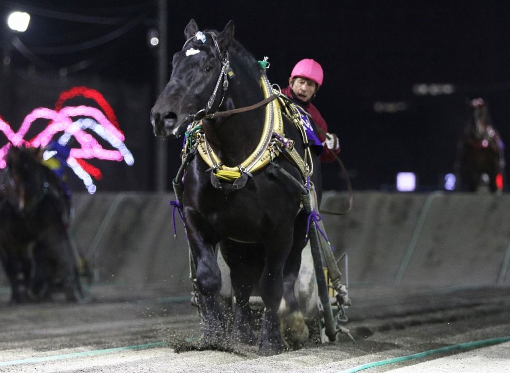 あらためて思う 競馬に絶対はない ということ 地方競馬の楽天競馬 日替わりライターブログ 楽天ブログ