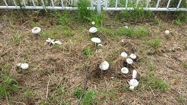 20160726_121748.jpg