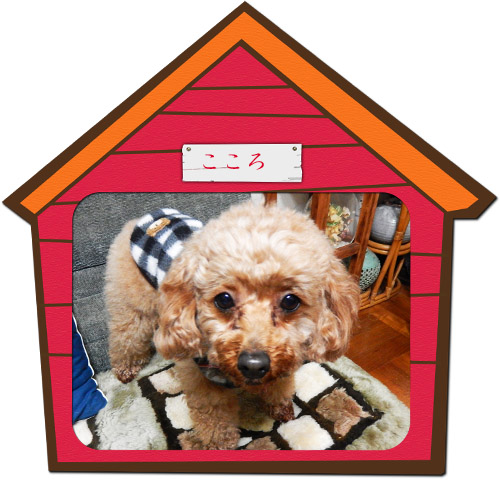こころ３１