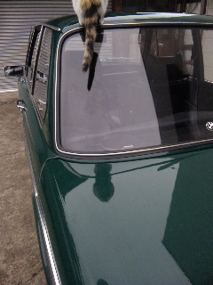 DVC00559.jpg