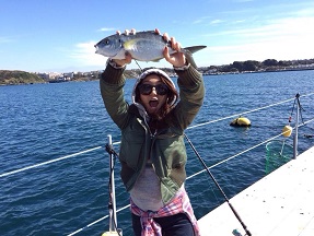 超高級魚シマアジを釣る