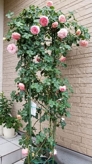 rblog-20180517230843-00.jpg