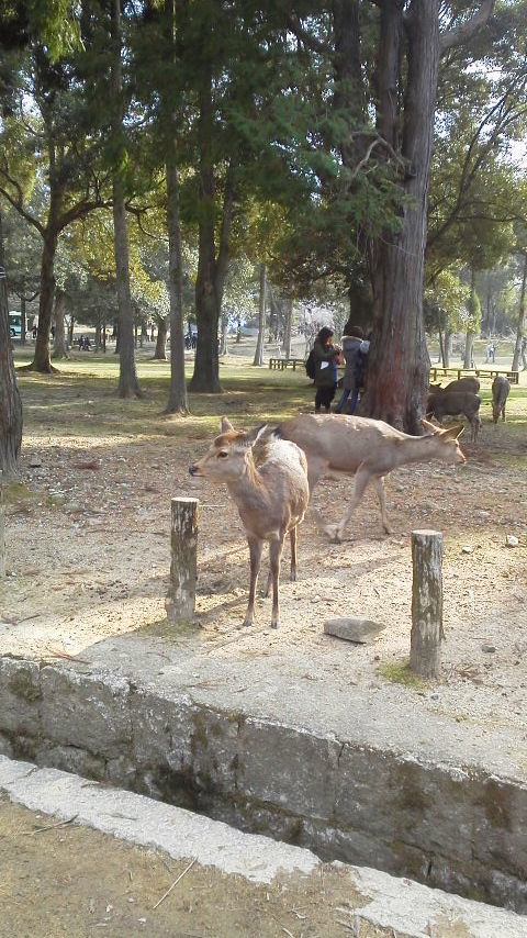 2014010112330000.jpg