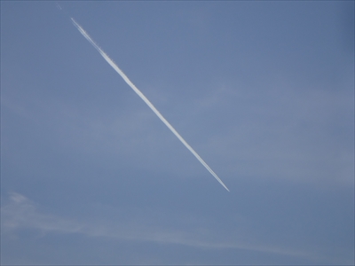 DSC00815_R.JPG